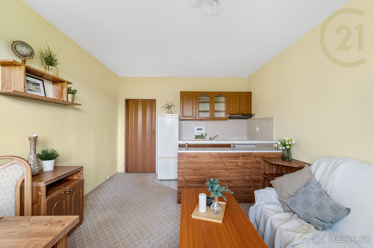 Útulný byt 2+kk v klidné části Líšně – Jírova - 4