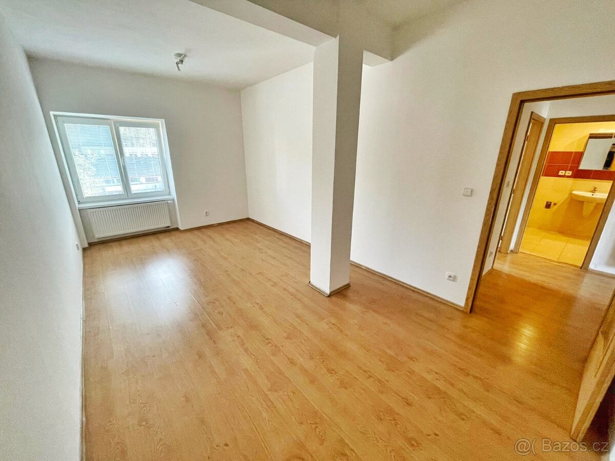 Pronájem Bytu 2kk bez provize RK - 4