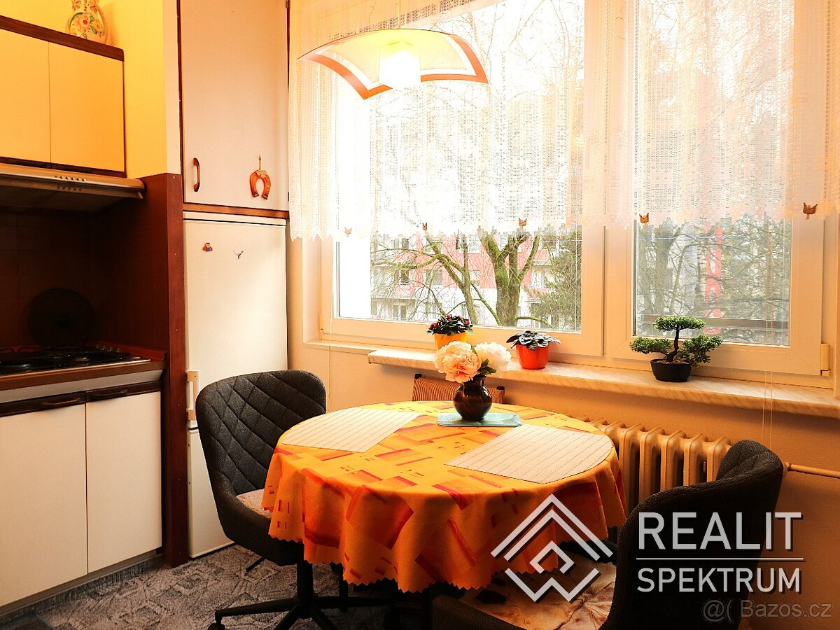 Prodej bytu 3+1, lodžie a kuchyně na míru, Ústí nad Orlicí - 4