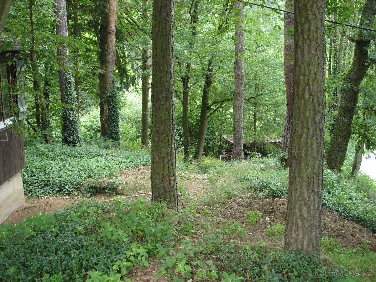 Stavební pozemek, Chata - 4