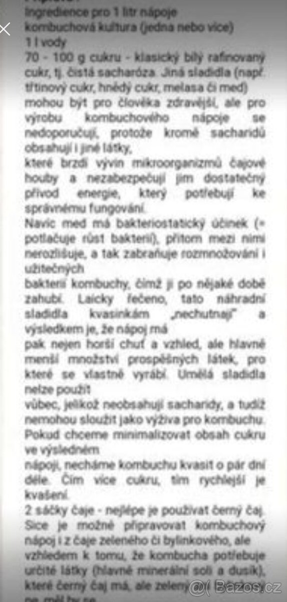 Houba Kombucha, násada - 4