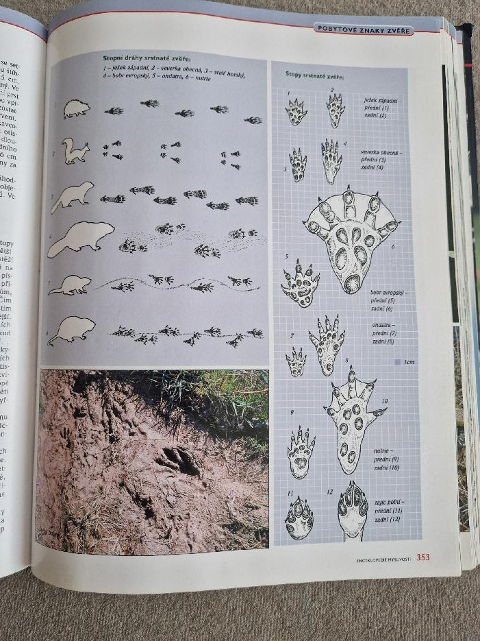 encyklopedie myslivosti - 4