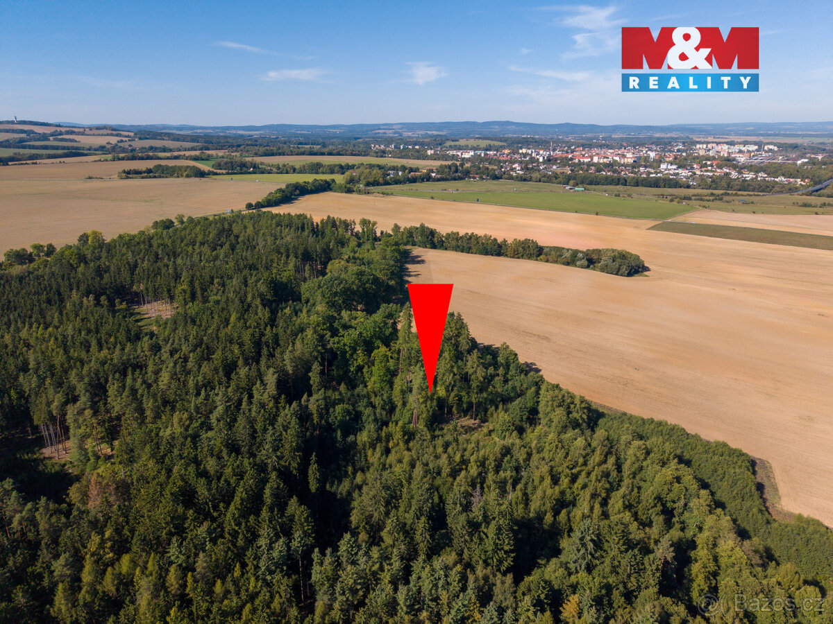Prodej lesa, 1.757 m², Podhrad, Cheb - 4