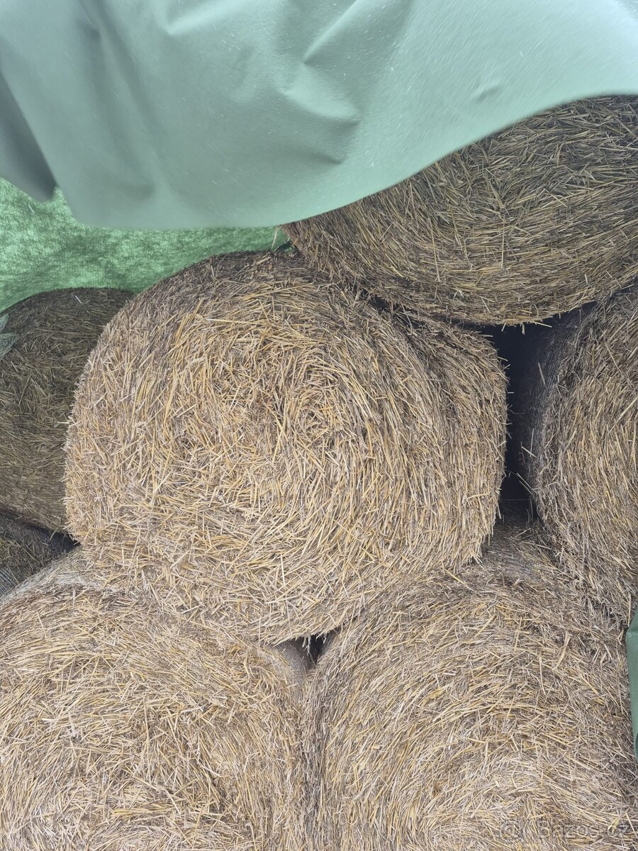 Prodám balíky slámy 140cm 34 kusů - 4