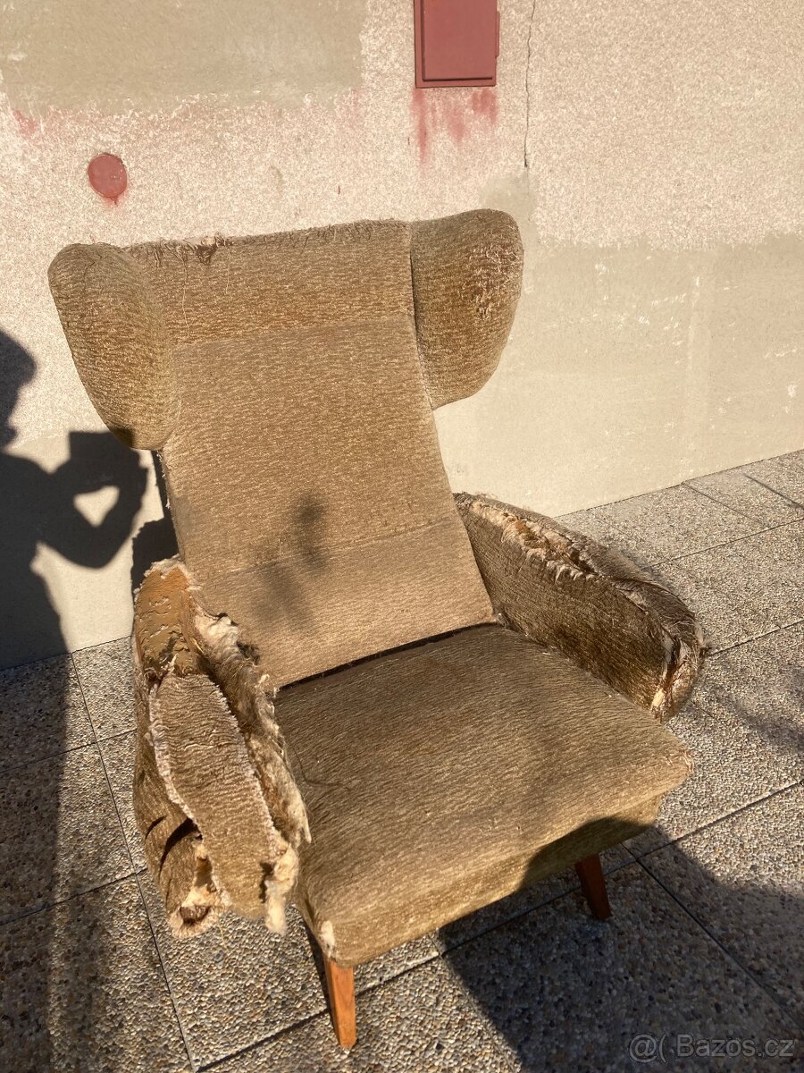 Starý ušák před revovací - 4