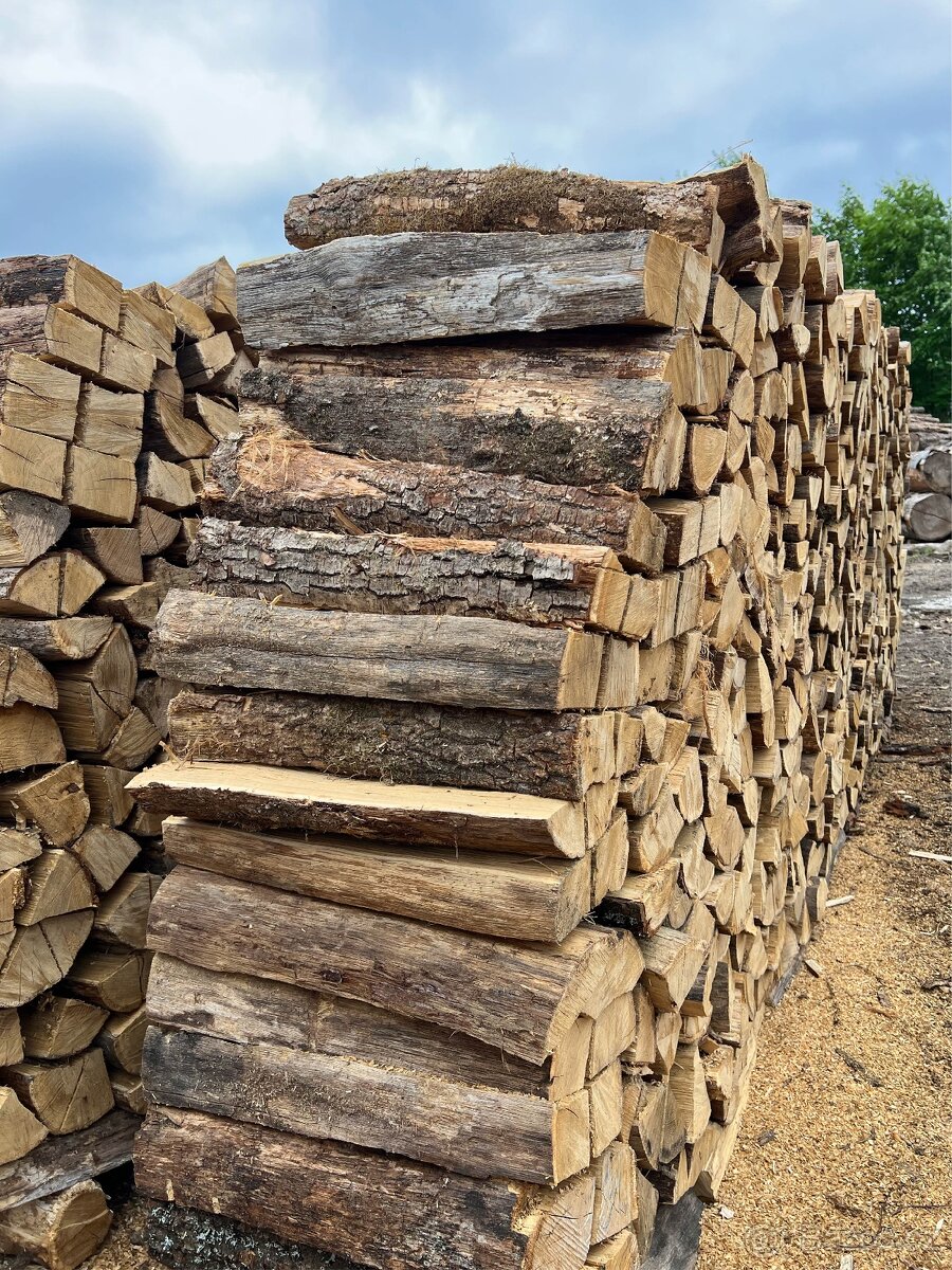 PALIVOVÉ DŘEVO – OLOMOUC, PŘEROV A OKRESY - 4