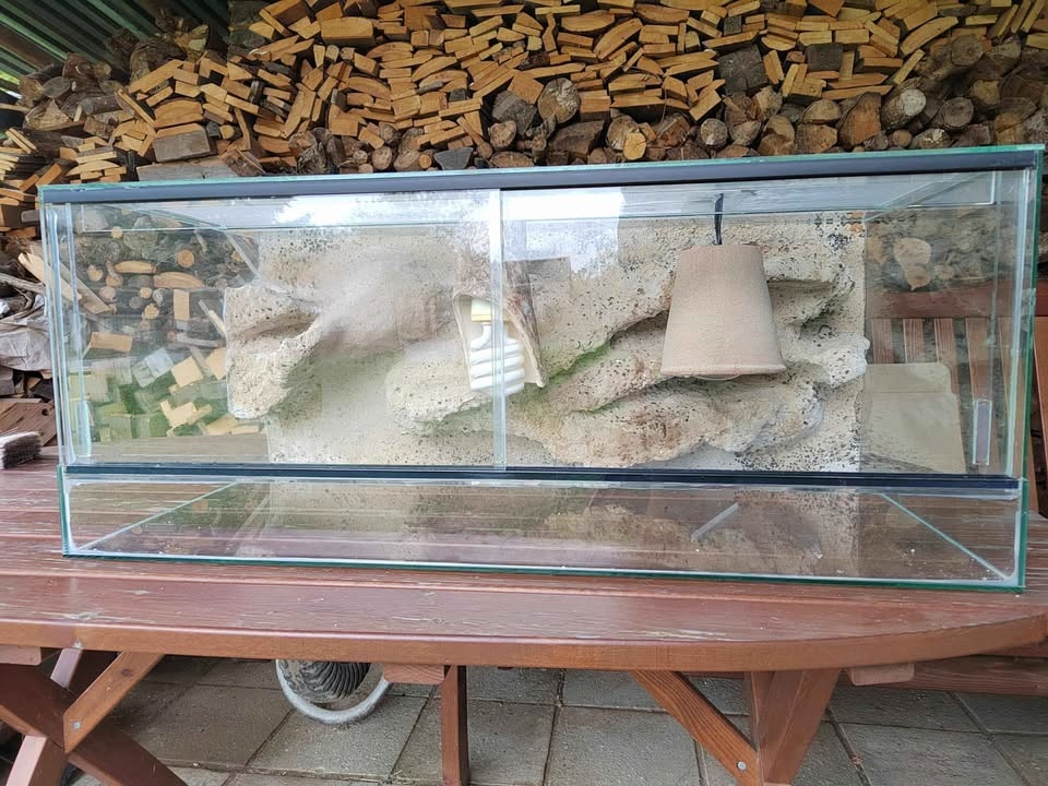 Velké terárium - 4