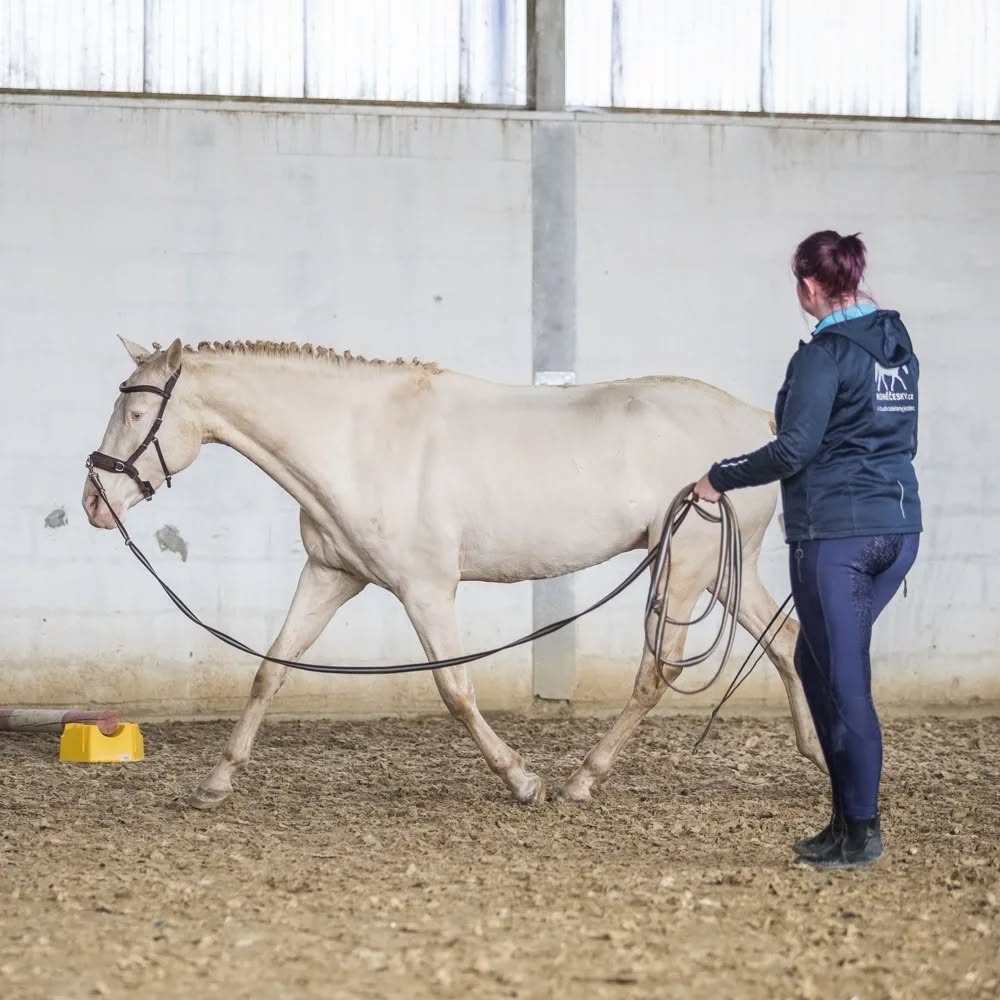 Valach P.R.E. barvy Perlino - 4