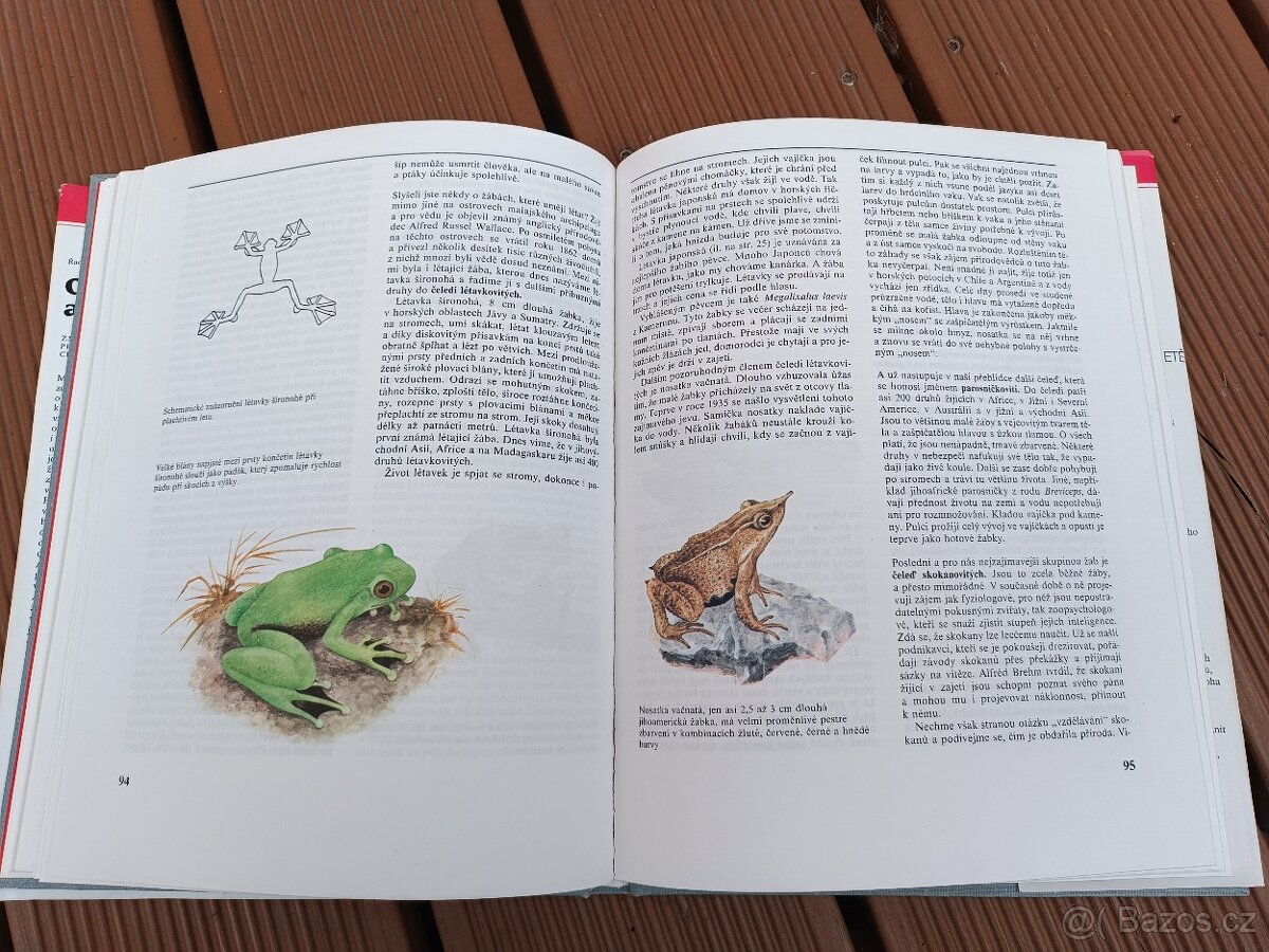 Obojživelníci a plazi - 4