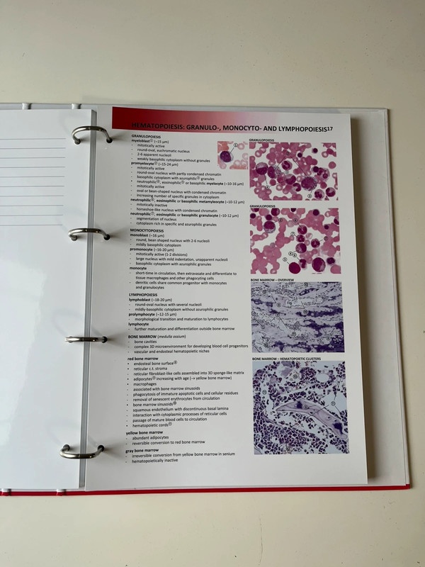 Guide to General Histology and Microscopic Anatomy - 4
