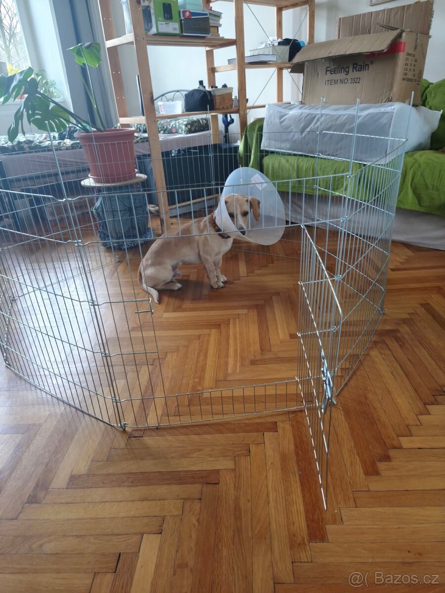 Ohrádka pro pejska/mazlíčka - 4