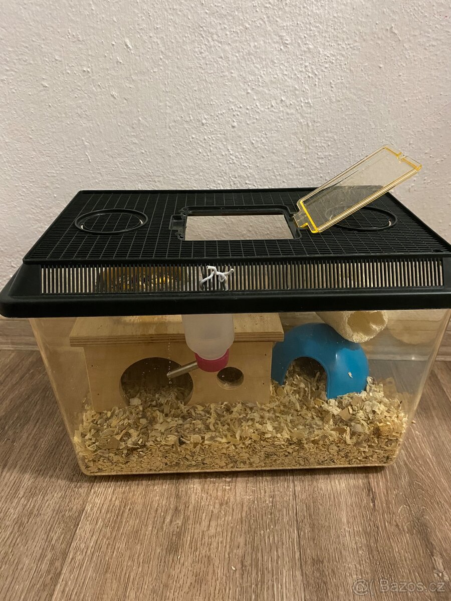 Křeček Džungarský - 4