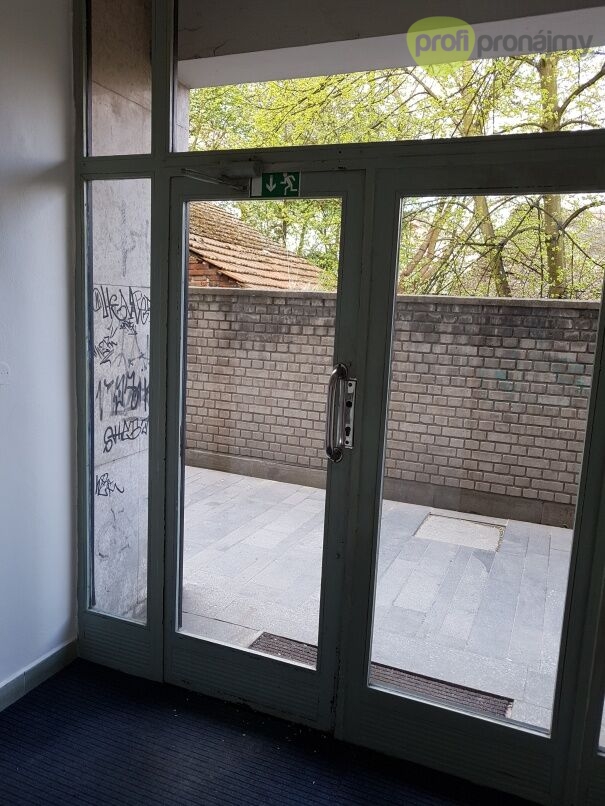 Pronájem obchodního prostoru 127 m² - 4