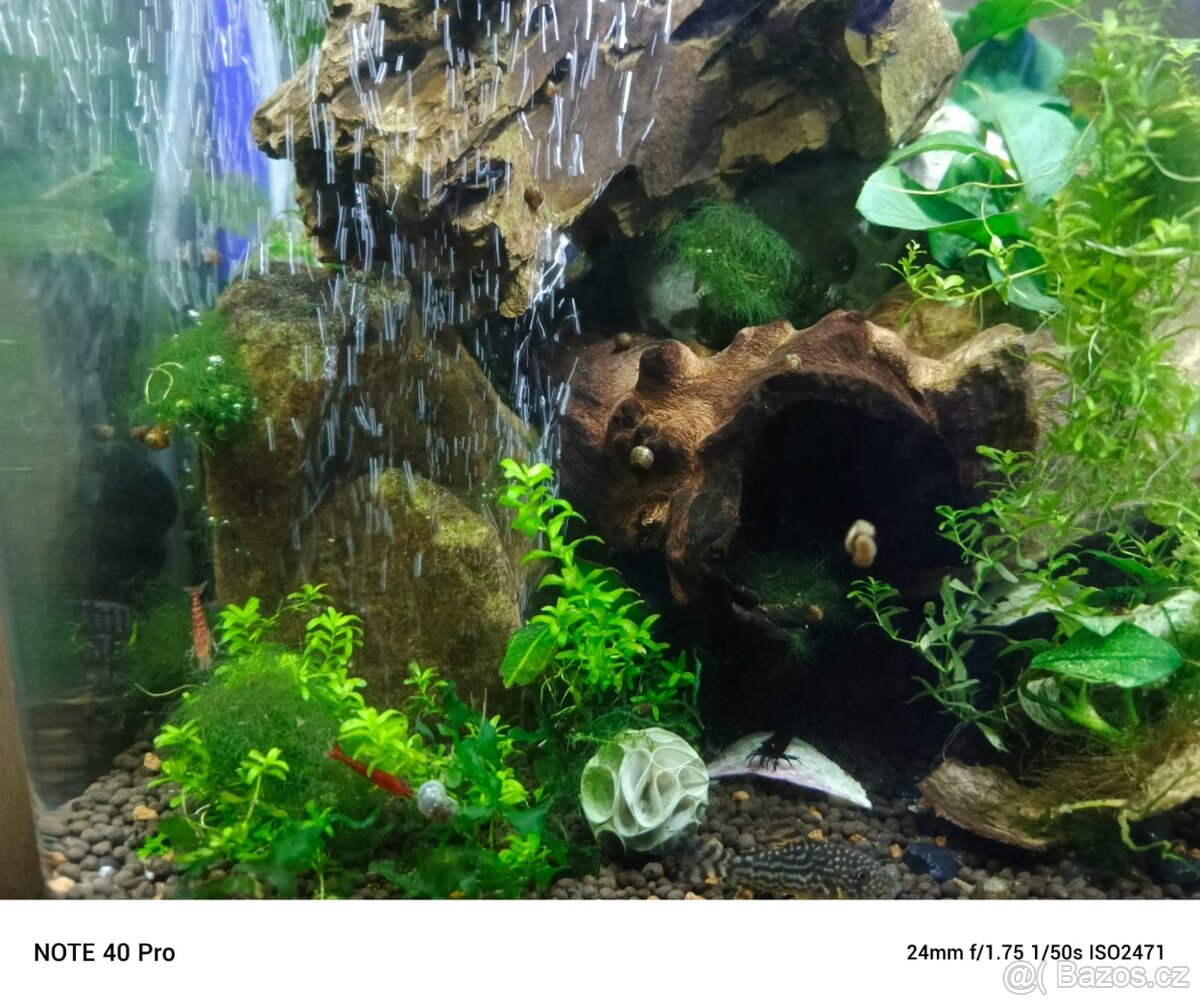 Akvárium výměnou - 4