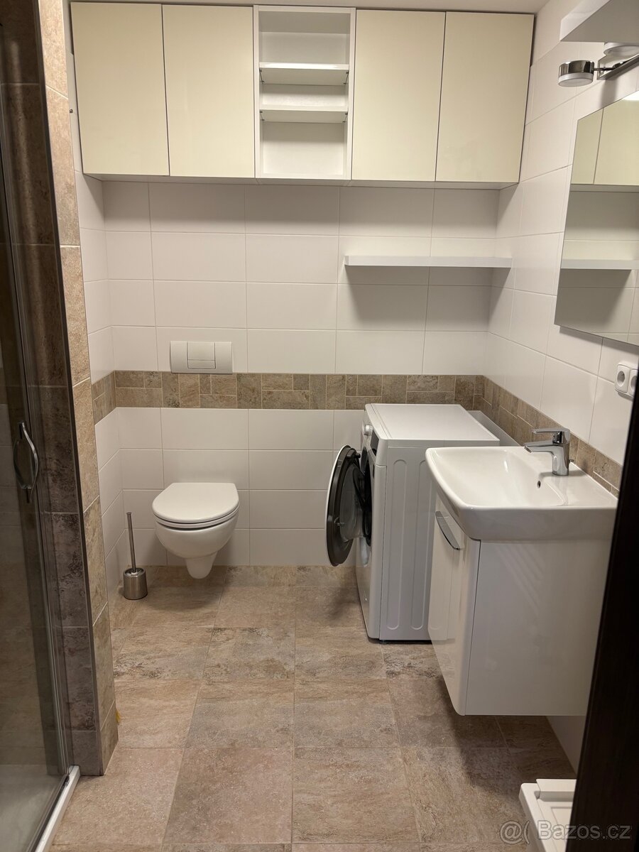Pronájem bytu - 4