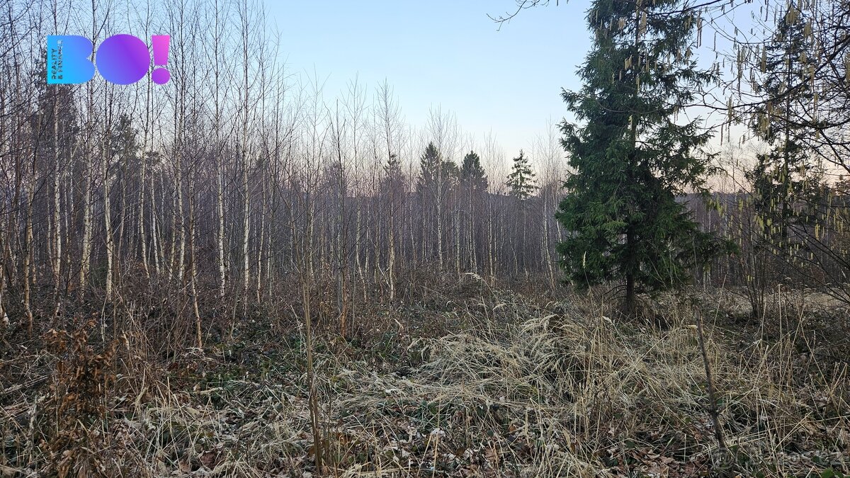 Prodej lesů, 55 558 m², Rybí - 4