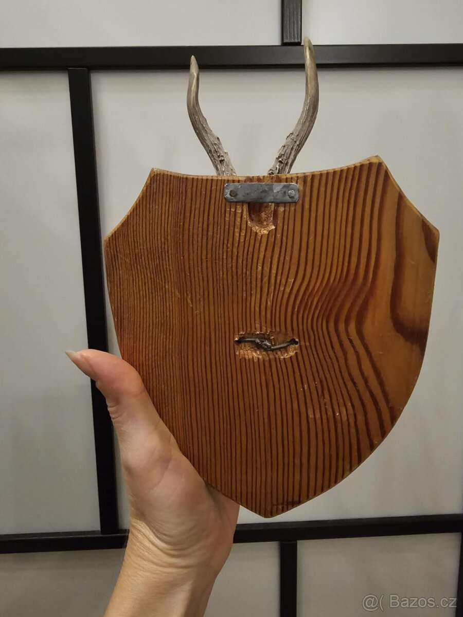 Srnčí trofej na podstavci - 4