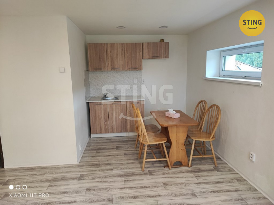 Pronájem komerčního objektu, 133622 - 4