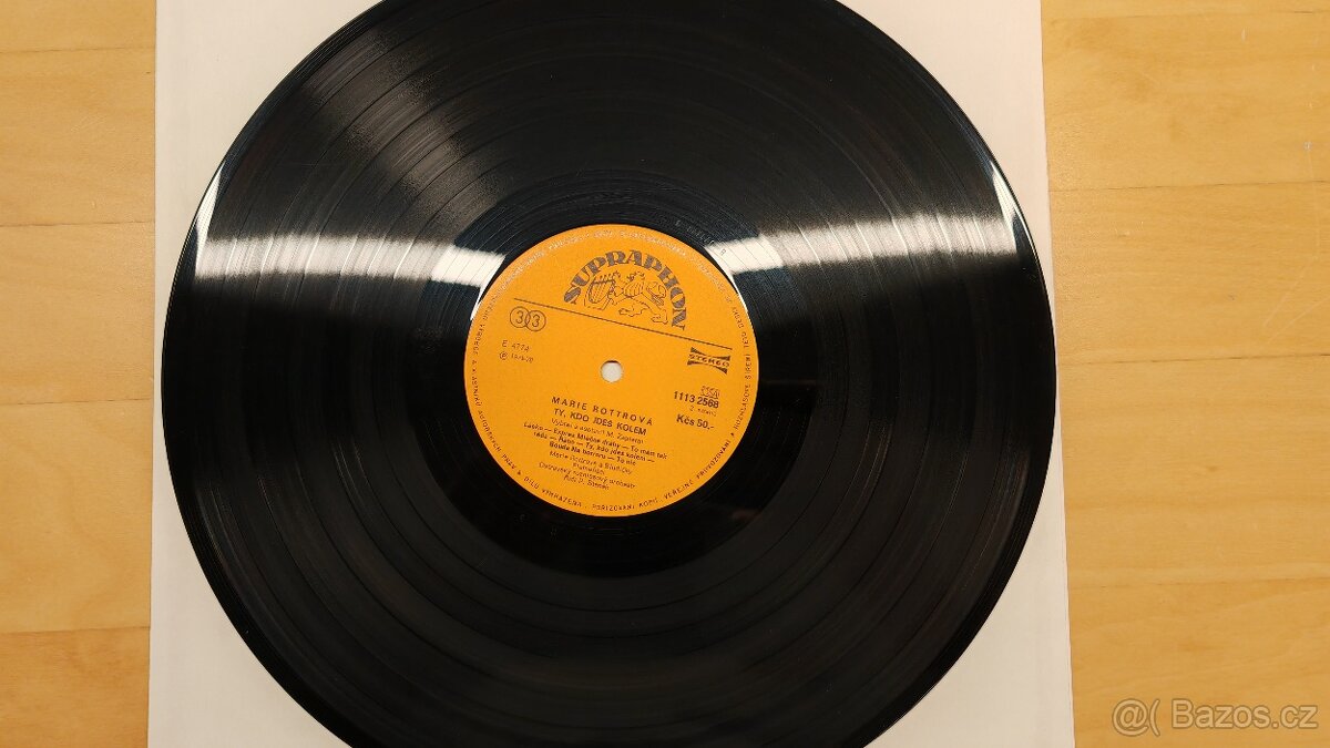 Marie Rottrová - Ty, kdo jdeš kolem - 4