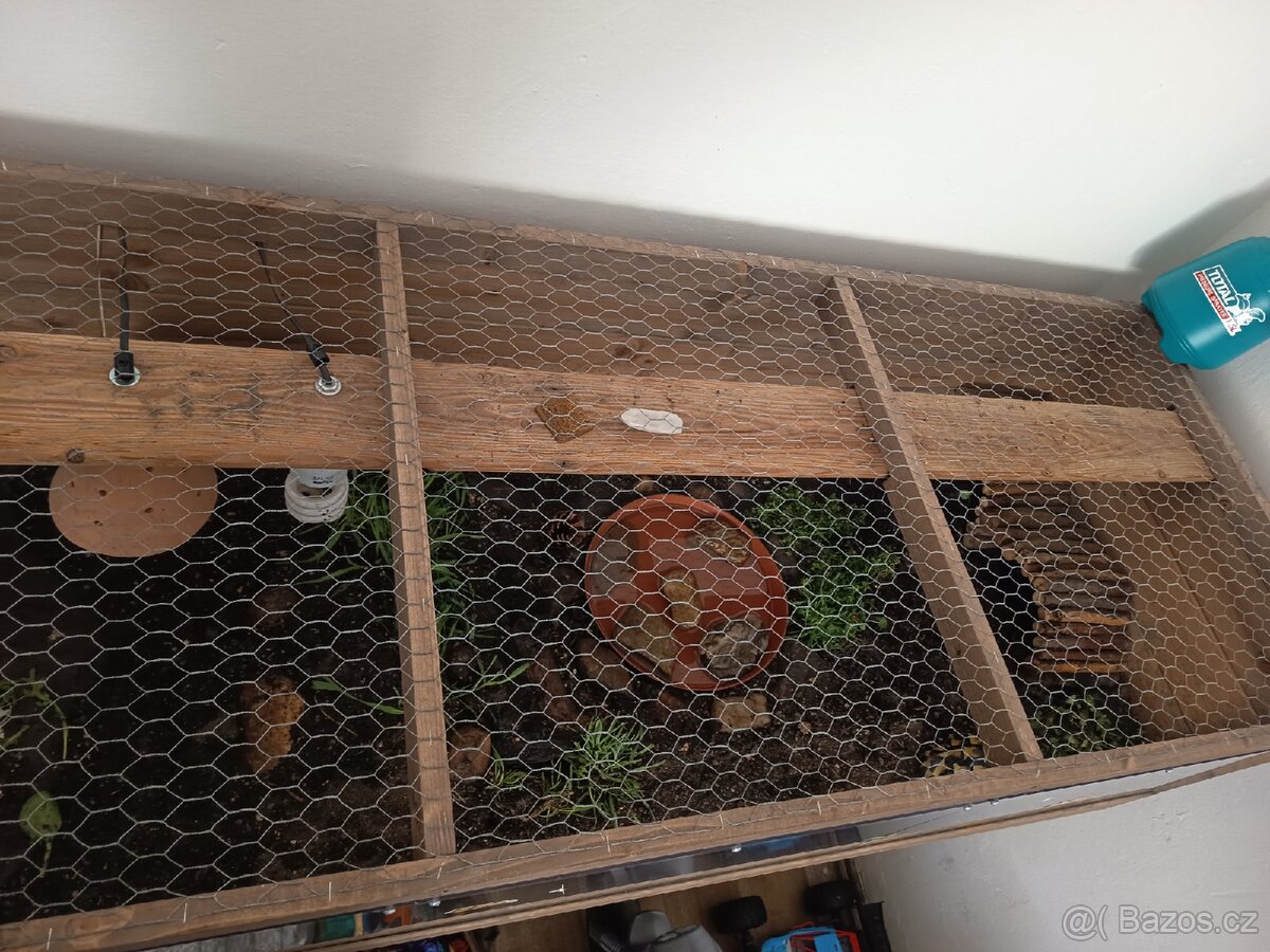 Želví stůl ~ terárium - 4