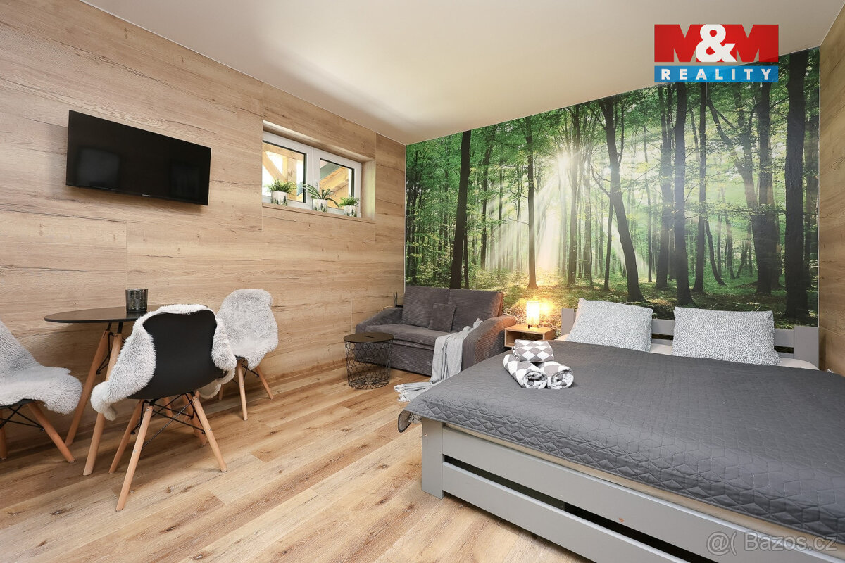 Prodej apartmánu 1+kk, Vrbno pod Pradědem, ul. Žižkova - 4