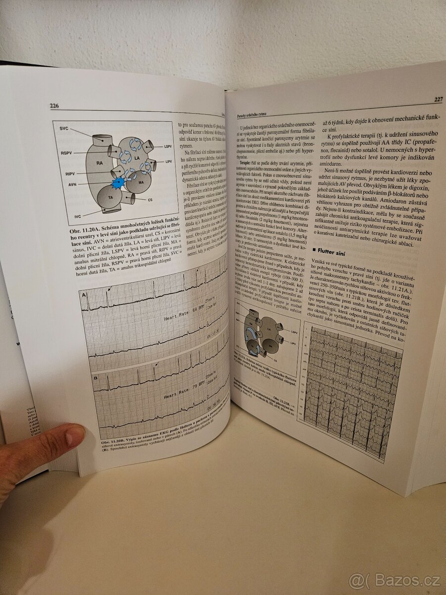 Vnitřní lékařství - 4