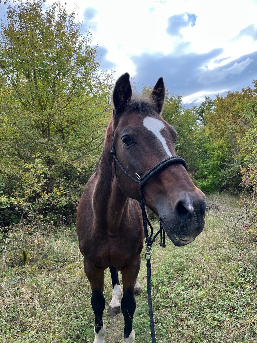 Černá parelka s opletem - 4