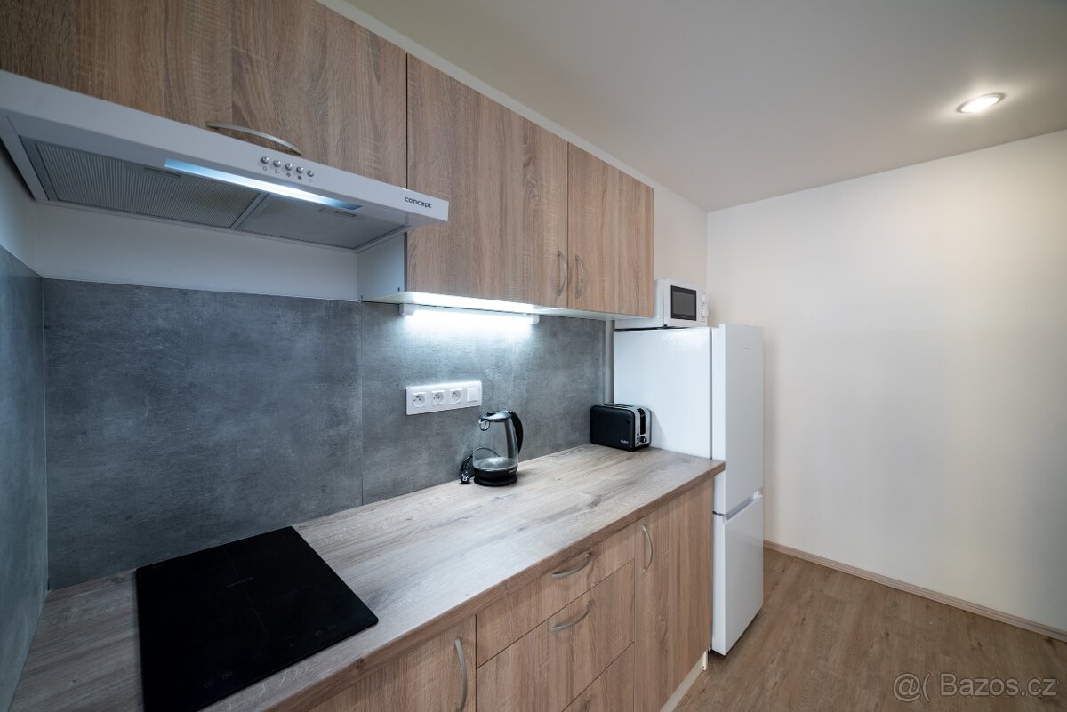 Pronájem — stylový byt 1kk pro pár ve Vinohradech - 4
