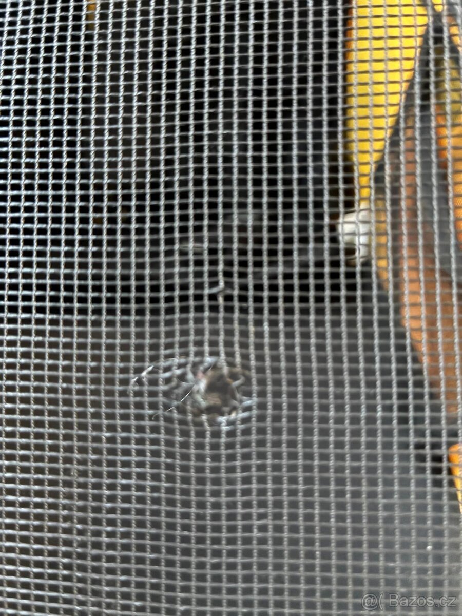 Thule Chariot Sport 2 - 4