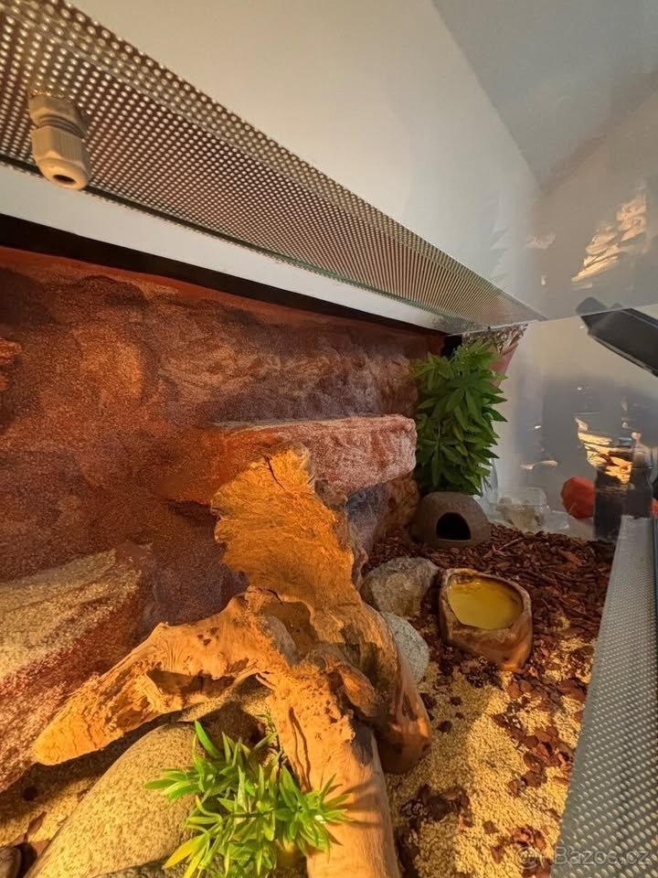 Terárium 120x50x50 s australským pozadím - 4