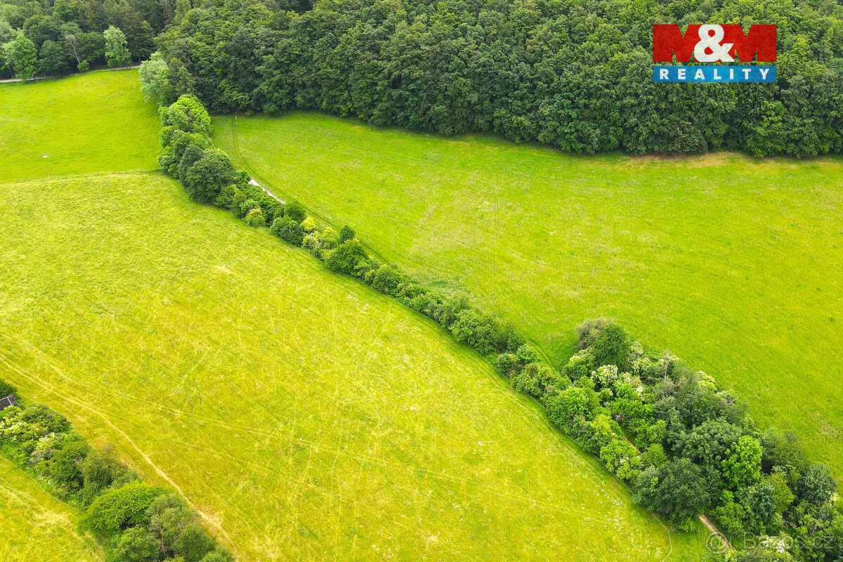 Prodej louky, 11031 m², Staré Hutě - 4