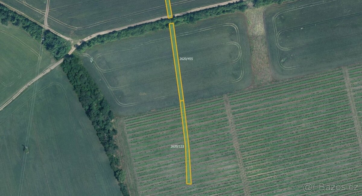 Zemědělská půda, prodej, Milotice, Hodonín - 4