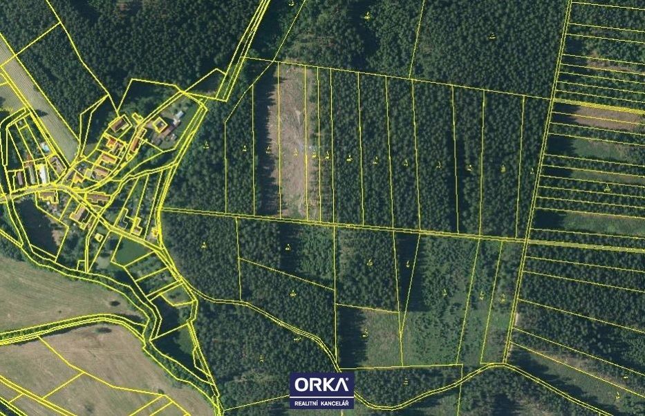 Prodej, Lesy, 5078m2 - Budětsko - 4