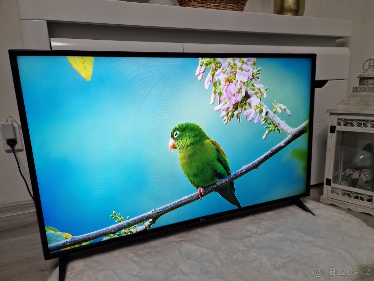Smart Televize LG 49LJ594V - 4