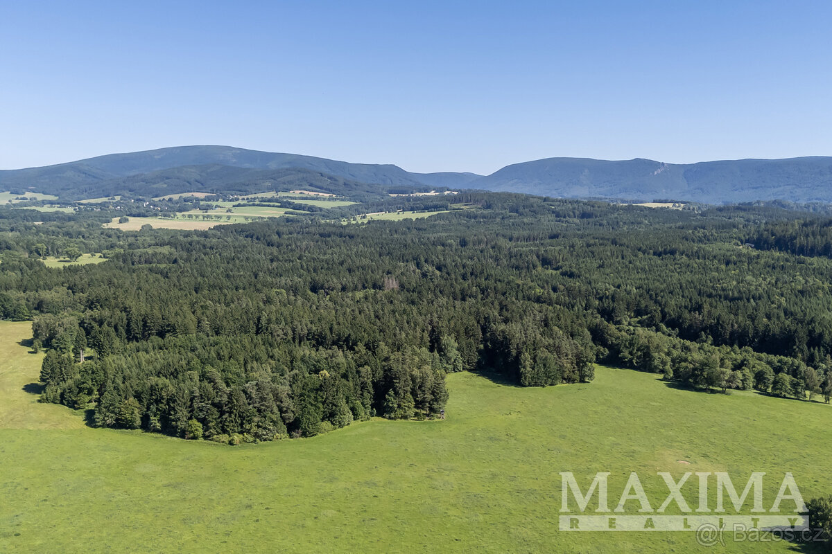 Pozemek o ploše 6397 m2 - Krásný Les, - 4