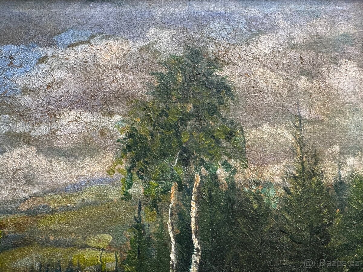 Obraz Krajina s břízami - 4