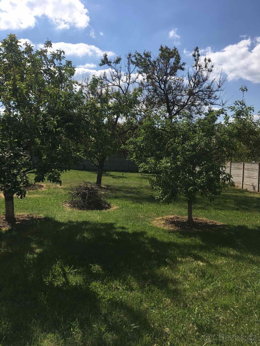 Stavební pozemek v Rajhradé - 4