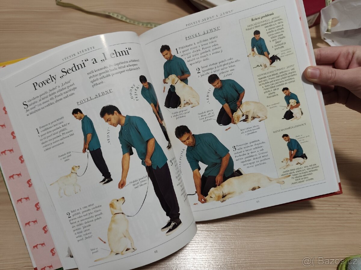 Vše o výcviku psa - 4