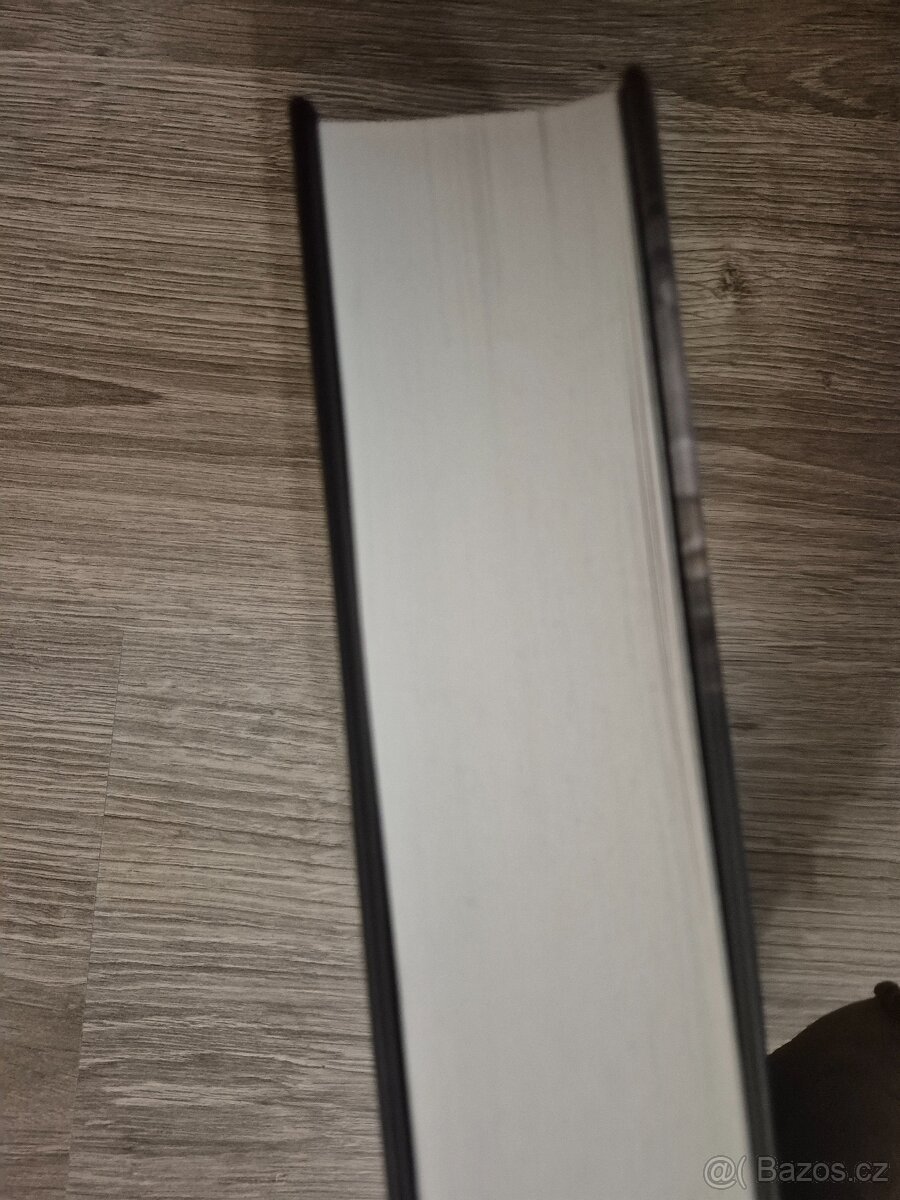 Trilogie Úmluva oceli - 4