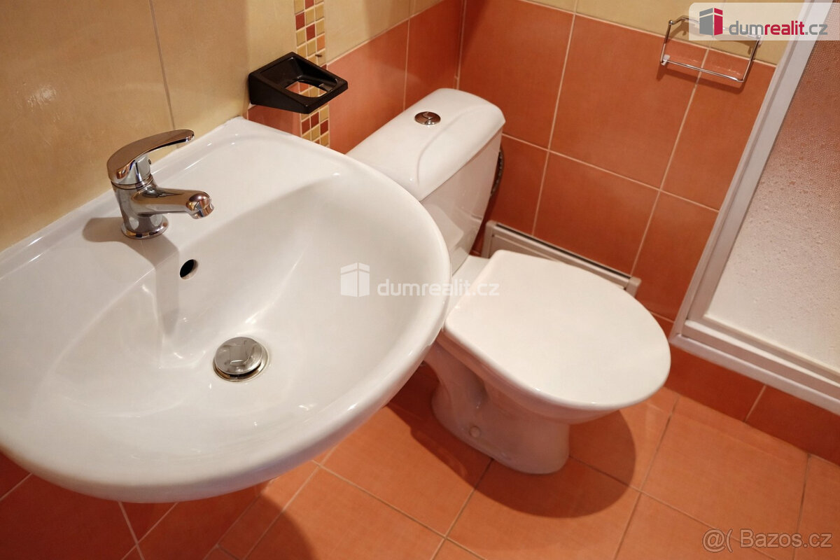 Pronájem bytu 1+kk, Děčín - Želenice - 4