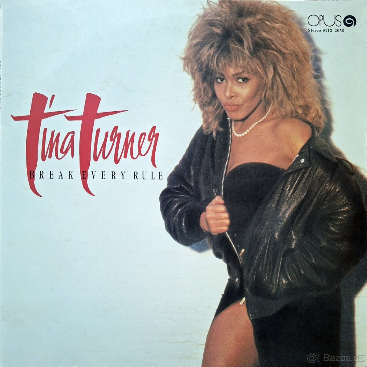 Vinyl - LP desky (rock, pop) - 4