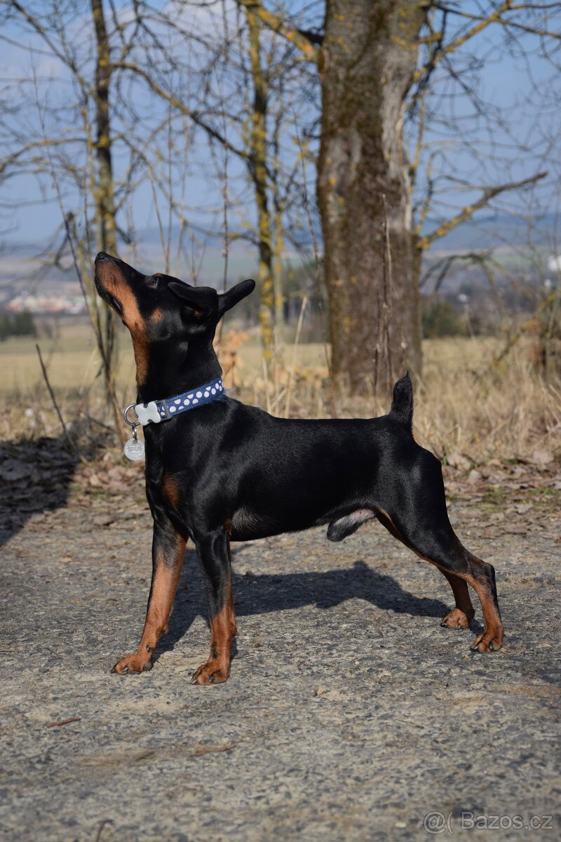 Nabídka ke krytí - 4