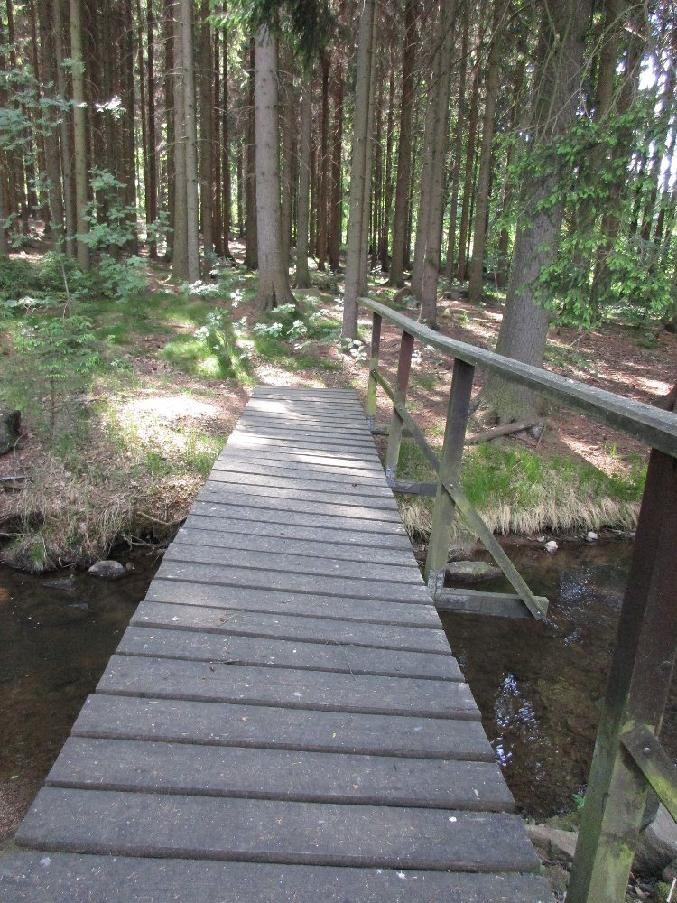 Prodej louky 3266 m² - 4