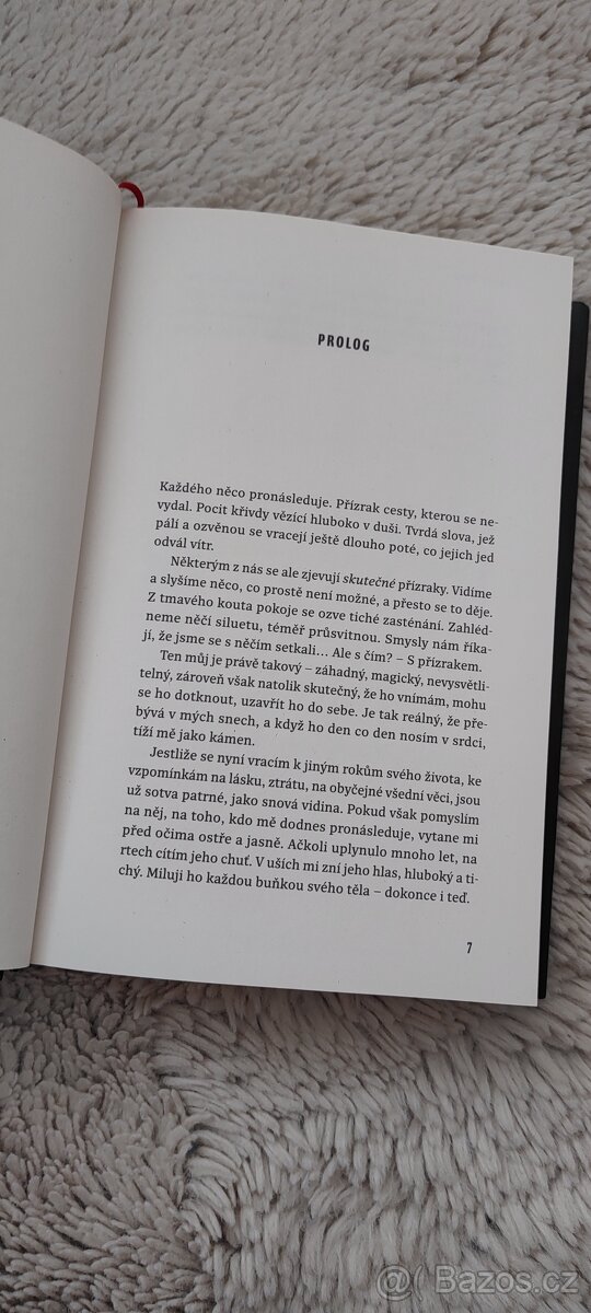 Příznaky Brynn Wilderové - 4