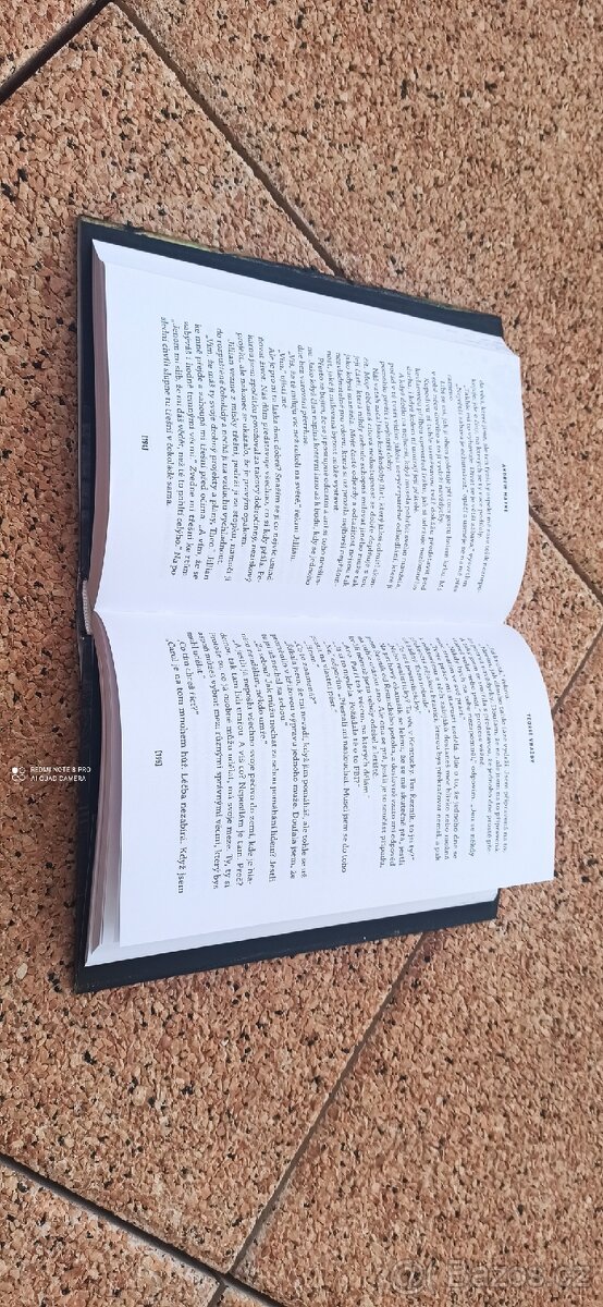 TEORIE VRAŽDY ANDREW MAYNE (série 3.díl) - 4