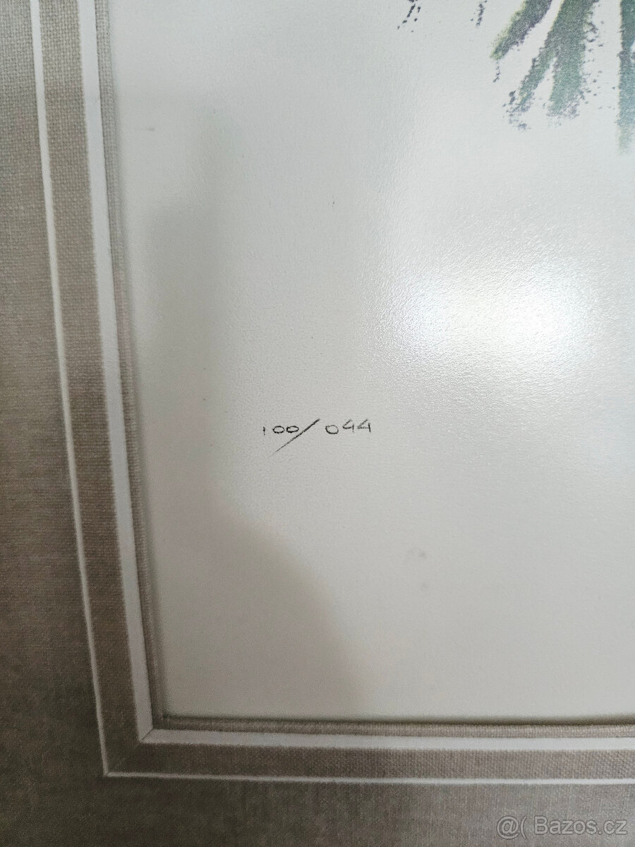 Jan Kristofori - obrazy - 4