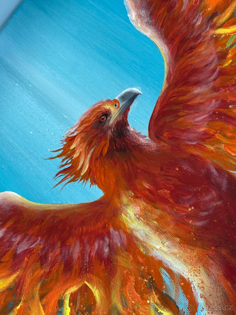 Obráz FÉNIXE - 4