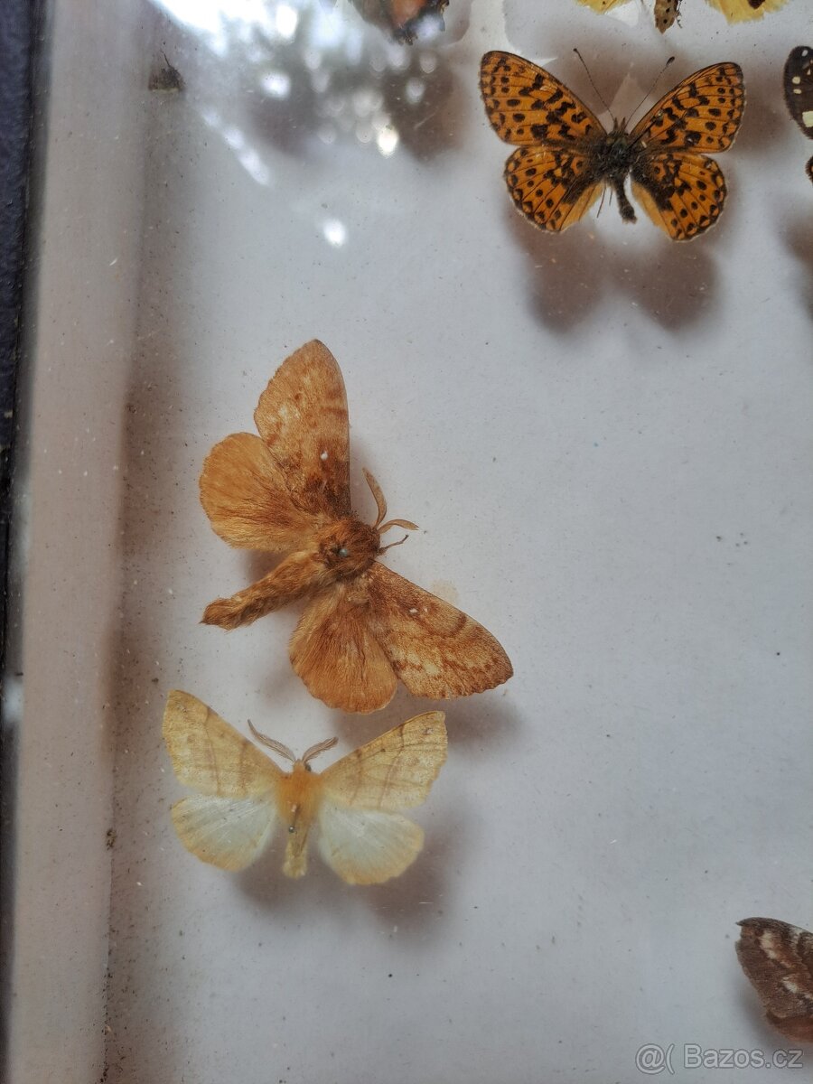 Zbierka M O T Ý Ľ O V. - 4