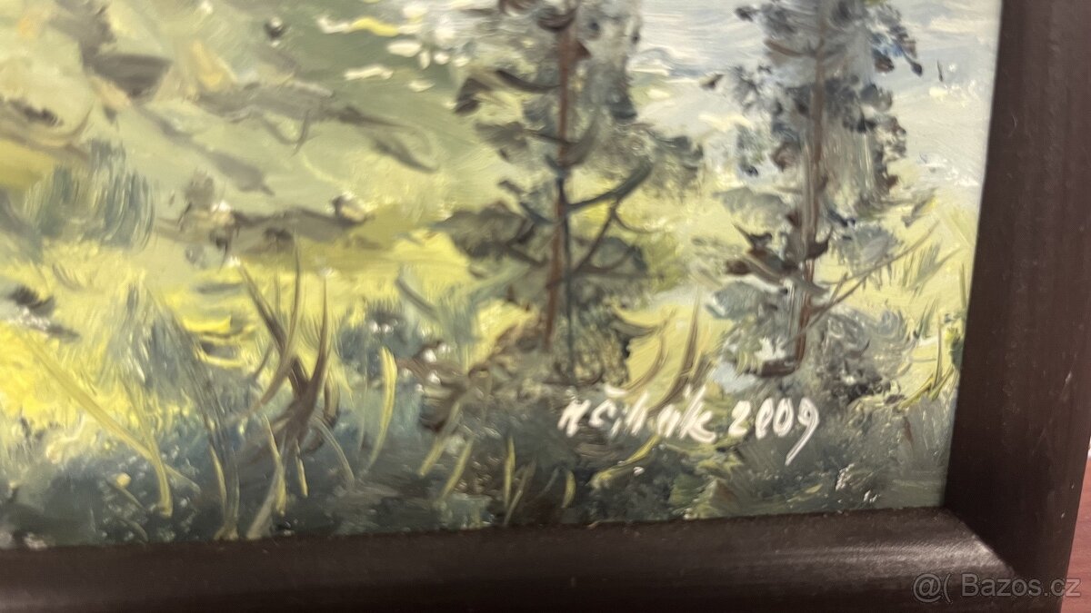 Dva obrazy krajin: Milan Čihák, české krajina/ Šumava. - 4