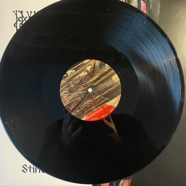 Brauncholda Stínohrad vinyl nový limit 100 ks - 4